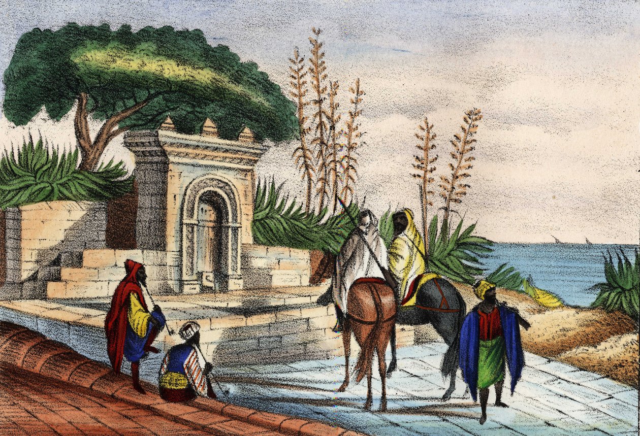 Fontän nära Alger av Unknown artist