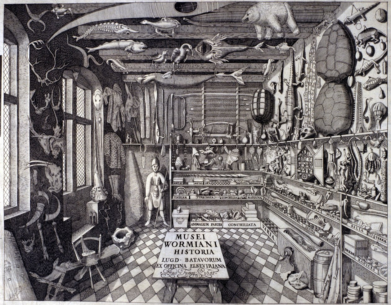 Frontispice av "Musei Wormiani Historia"" som visar interiören av skåpet av kuriositeter av Ole Worm eller Olaus Wormius av Unknown artist