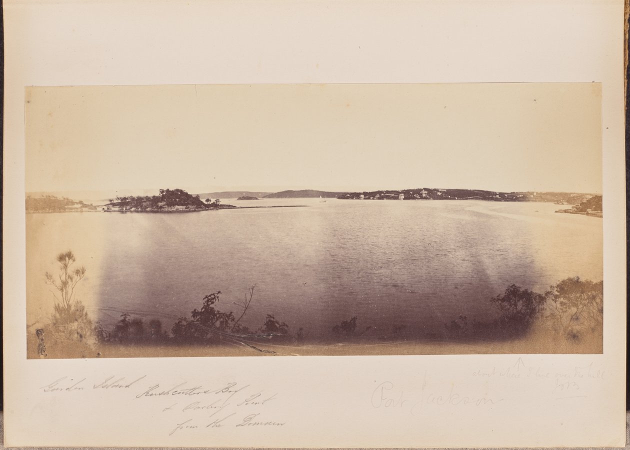 Garden Island, Rushcutters Bay och Darling Point från Domain av Unknown artist