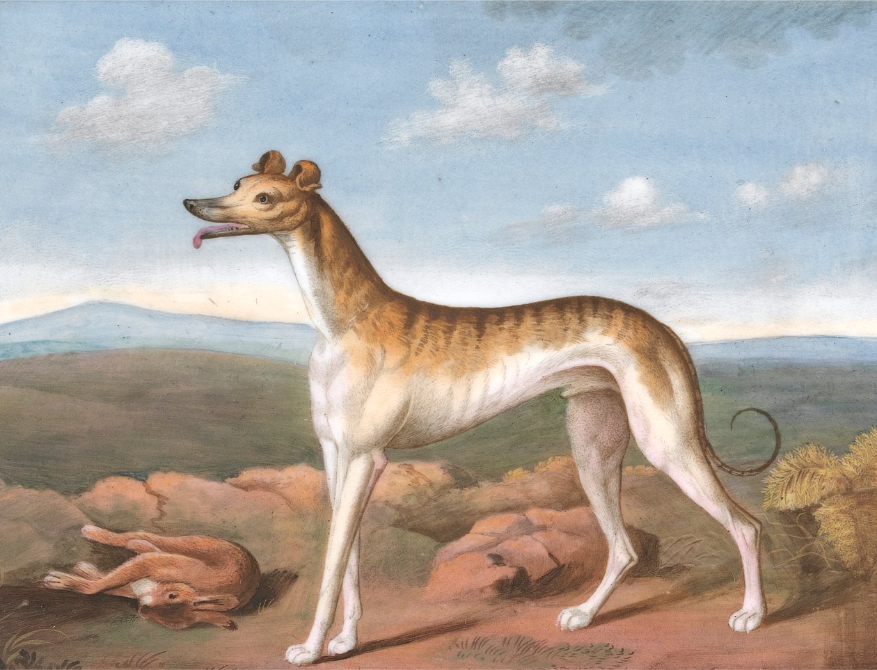Vinthund: Vänstervänd, med en död hare vid hans fötter av Unknown artist