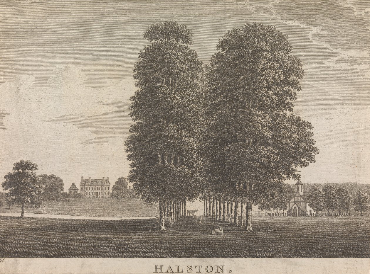 Halston; sida 22 (volym två) av Unknown artist