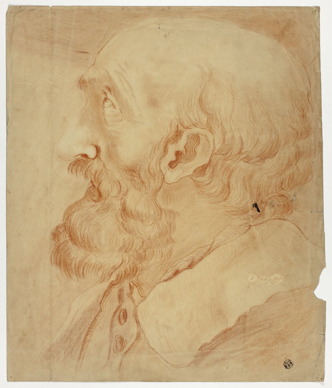 Huvud av skäggig man i profil av Unknown artist