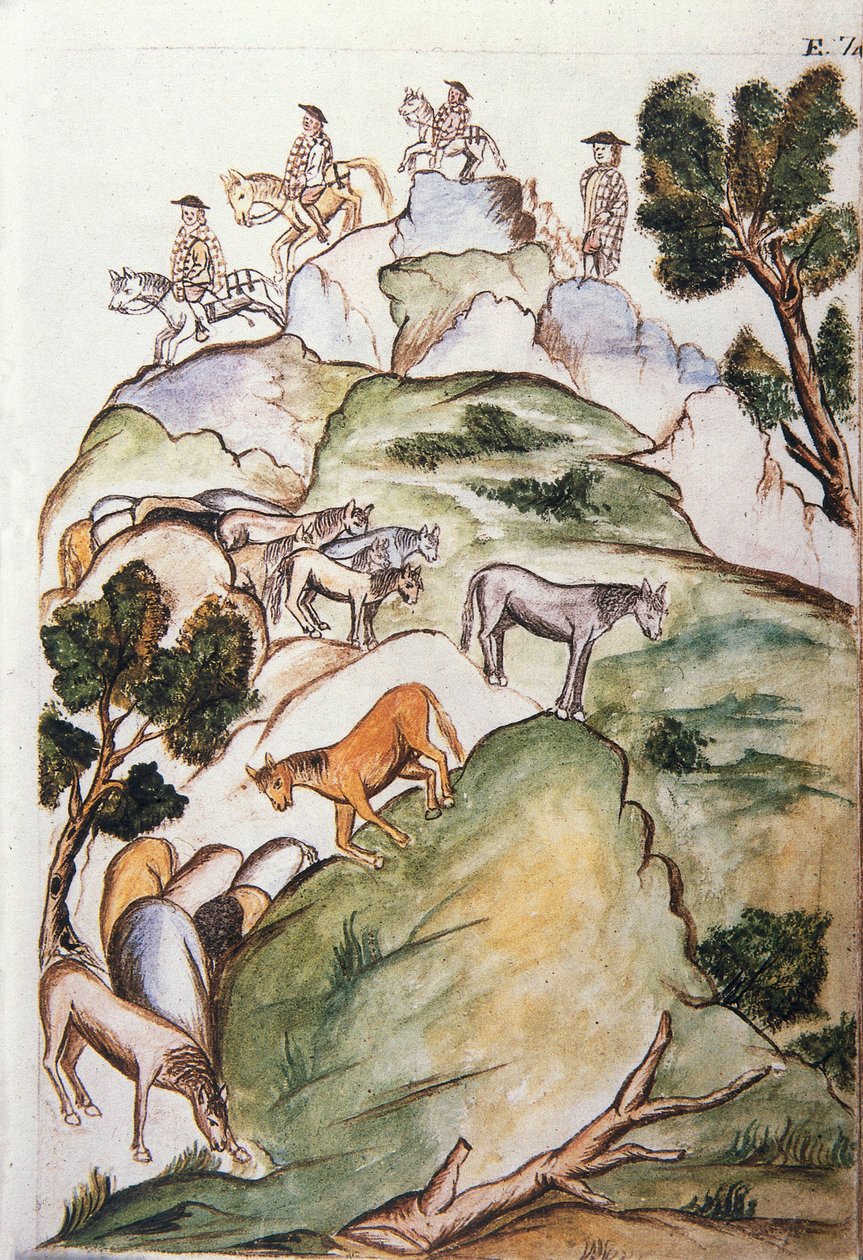 Boken "Trujillo del Peru" eller "Codex Martinez Companion", av Baltazar Martinez Companion och Bujanda, biskop av Trujillo (1782-1785) av Unknown artist