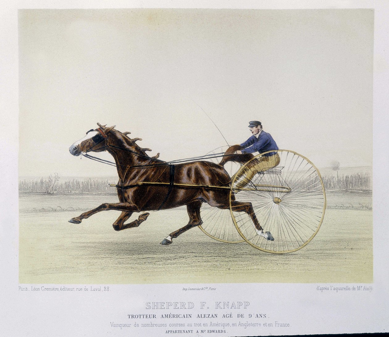 Ridning: Shepherd F. Knapp, travare - i "" the centaur"" av Unknown artist