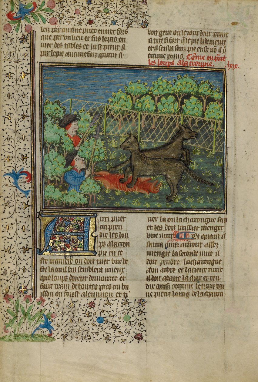 Jägare lockar till sig vargar med kadaver av Unknown artist