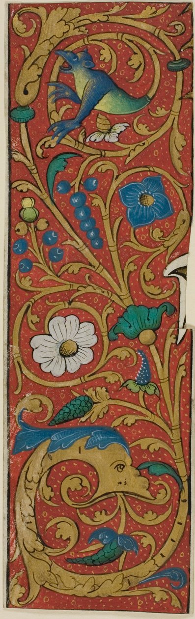 Illuminerad bård med grotesker och flora från ett manuskript av Unknown artist