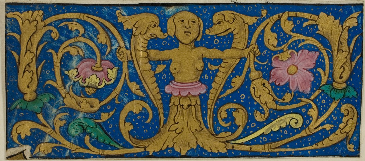 Illuminerad bård med grotesker och flora från ett manuskript av Unknown artist