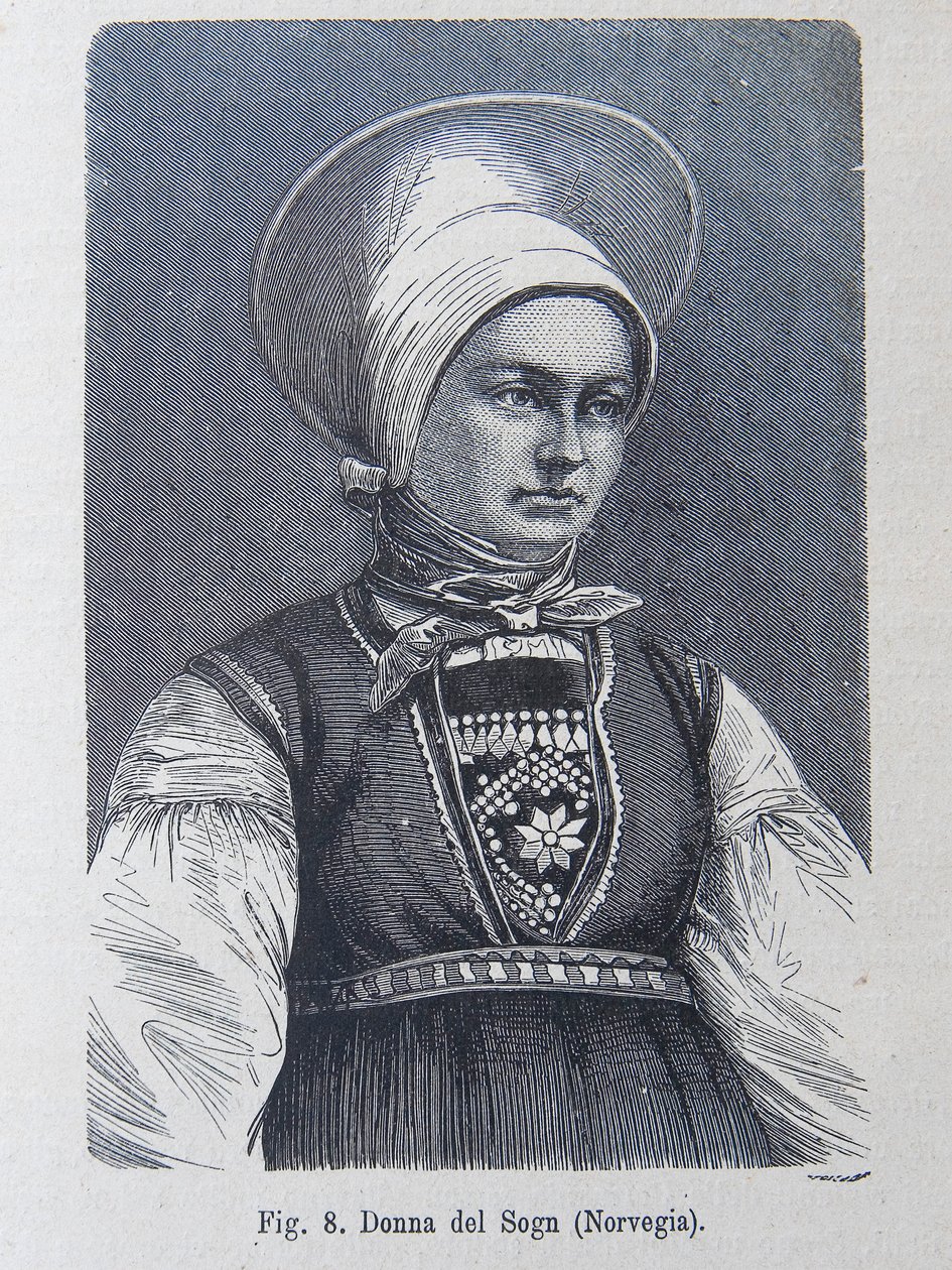 Illustration från "The human race" av Louis Figuier av Unknown artist