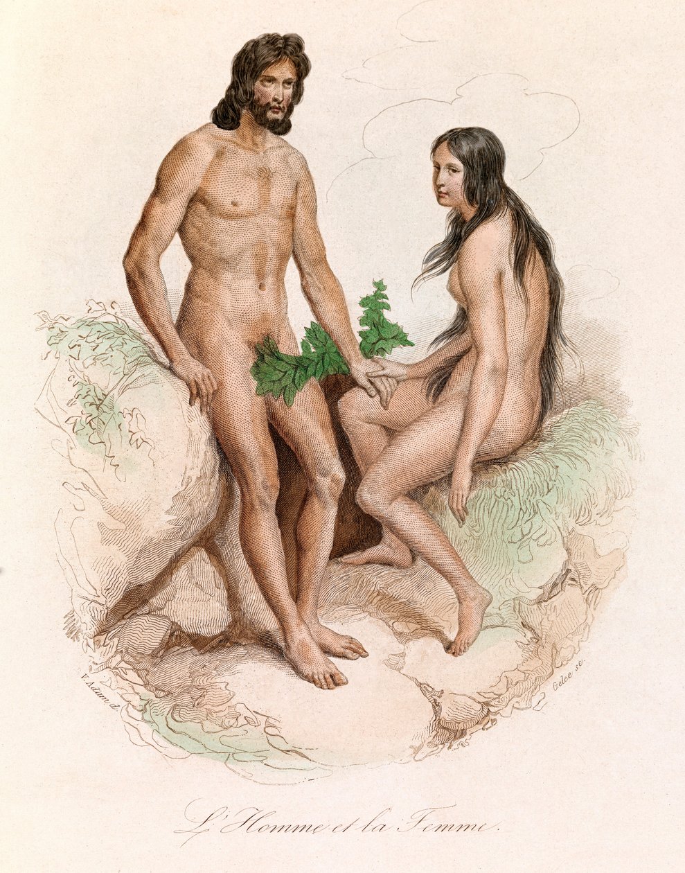 Illustration från boken "Buffons samlade verk": Människans naturhistoria: Man och kvinna (gravyr) av Unknown artist