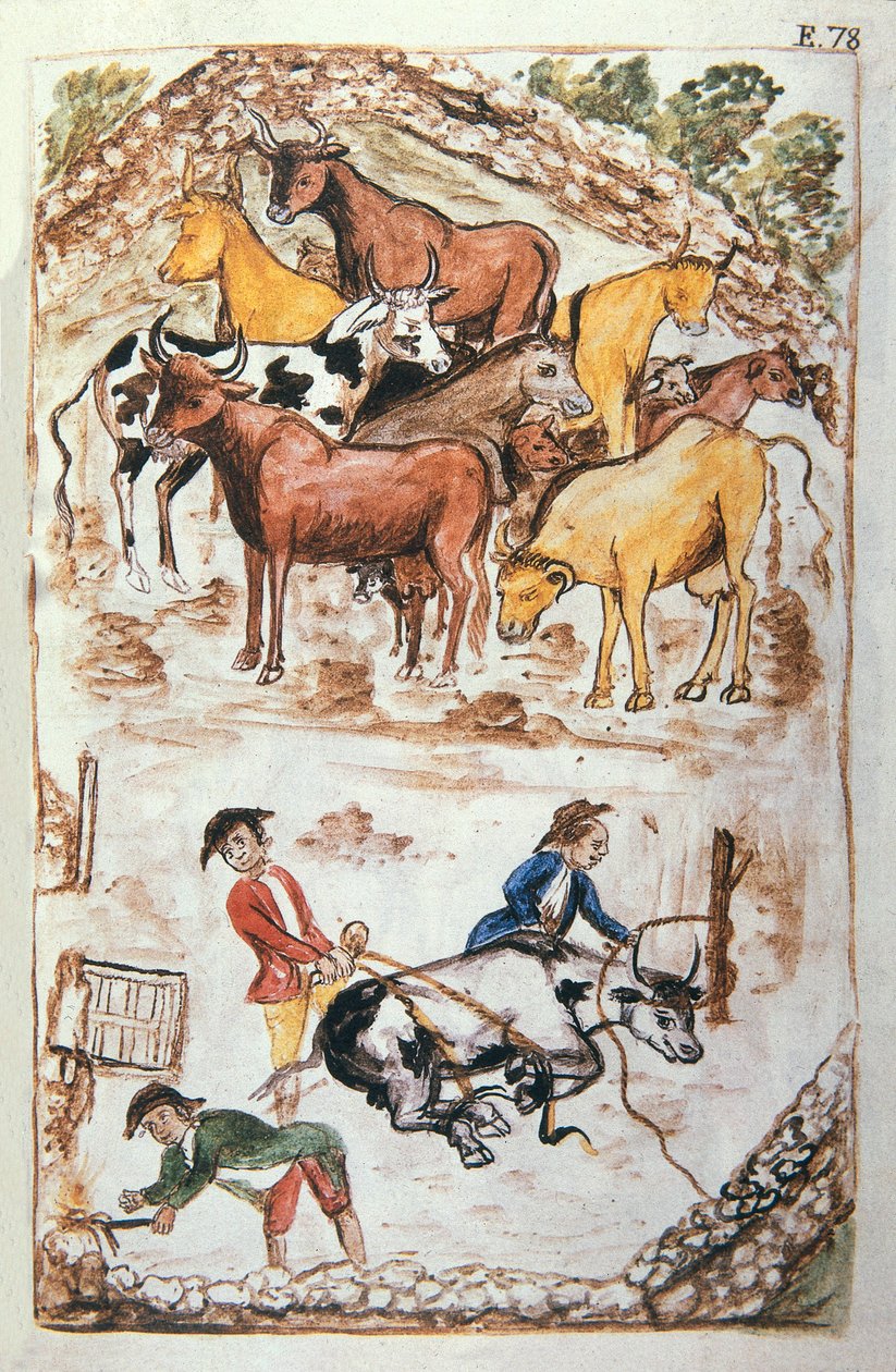 Indian Guardians of Cows, från boken "Trujillo of Peru" eller "Codex Martinez Companion", av Balthazar Martinez Companion och Bujanda, biskop av Trujillo (1782-1785) av Unknown artist