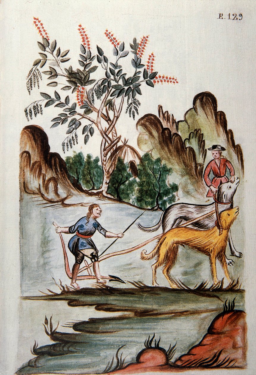 Indianer som plöjer en åker med hundar, från boken "Trujillo del Peru" eller "Codex Martinez Companion", av Baltazar Martinez Companion och Bujanda, biskop av Trujillo (1782-1785) av Unknown artist