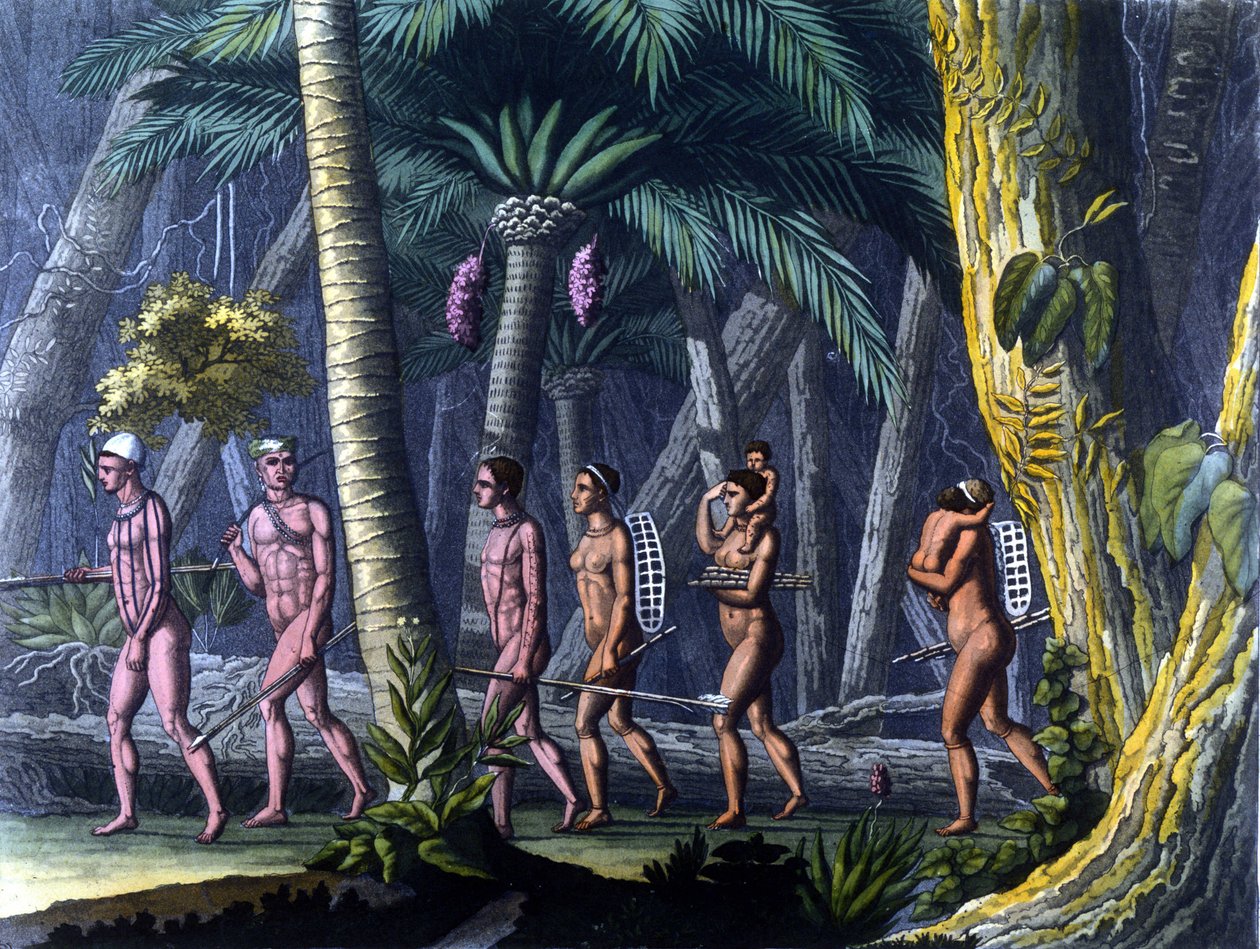 Purisindianer i skogen (Brasilien) - i "" Den antika och moderna kostymen"" av Ferrario, red. Milano av Unknown artist