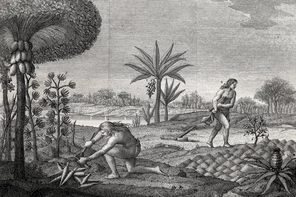 Ursprungsbefolkningen arbetar på landet i Orenoque-bassängen i Colombia. Gravyr 1780 av Unknown artist