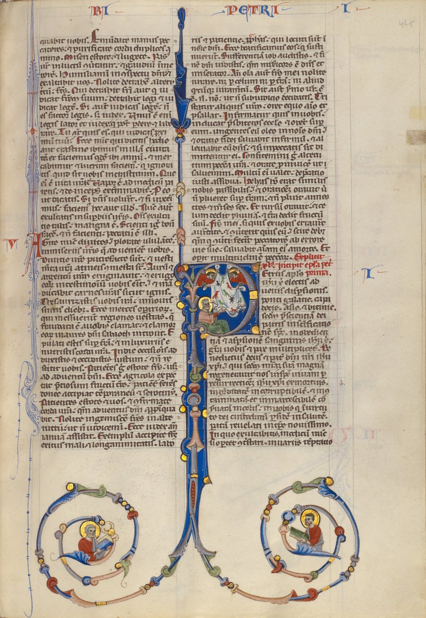 Initial P: Sankt Petrus syn på rena och orena djur av Unknown artist
