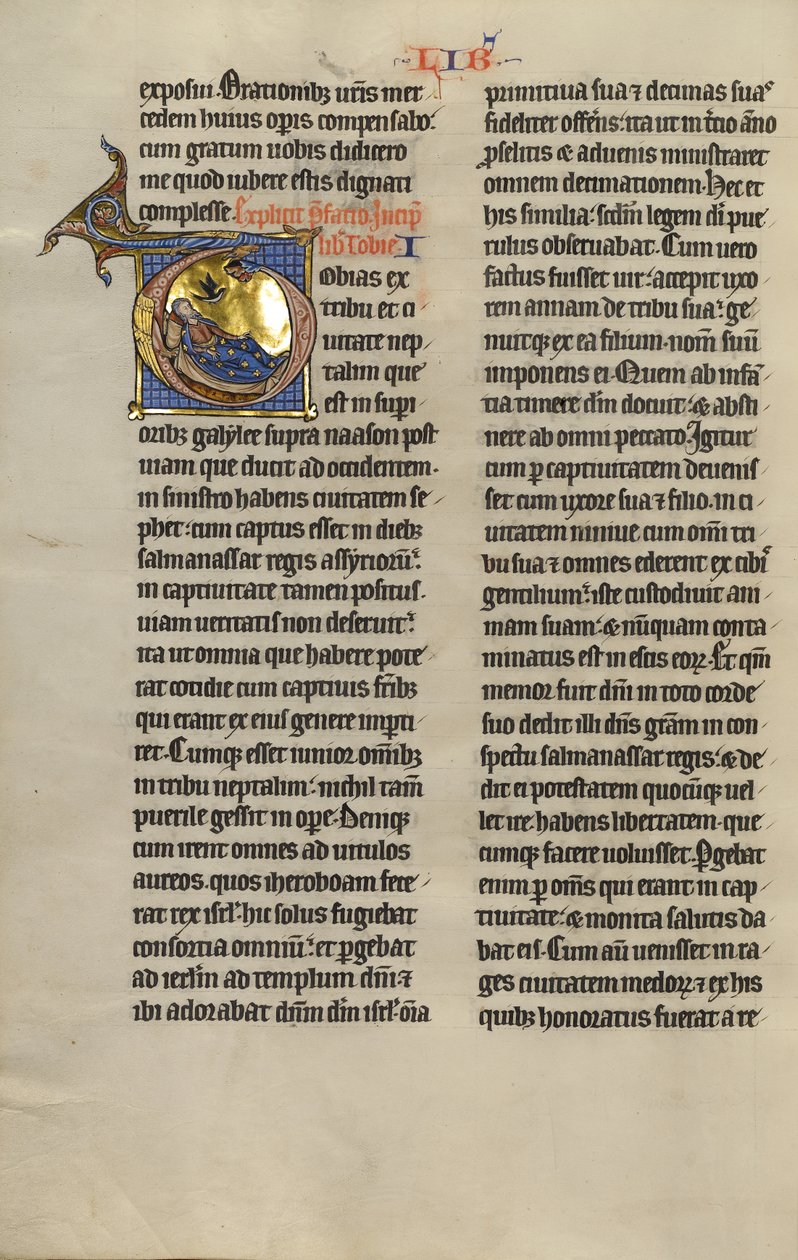 Initial T: Förblindning av Tobit av Unknown artist