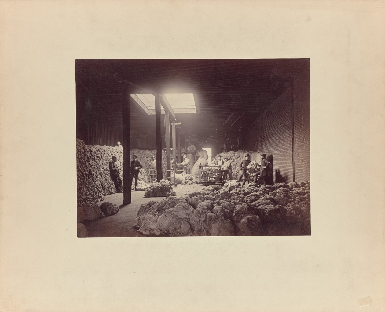 [Interiör från sorteringsanläggning för ull, Walter Brown and Company] av Unknown artist