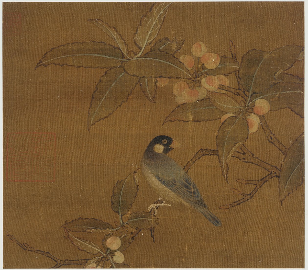 Java Sparrow på en bärgren av Unknown artist