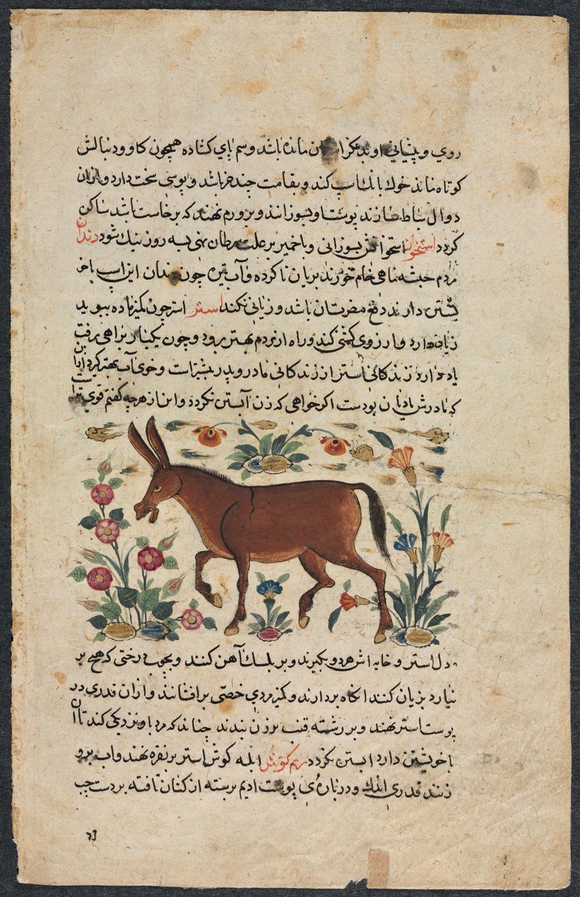 Annat (hittat), från en nezhantami-besättning (utmärkt bok om vi kommer att anlända) från Shahmarda Ibn Abi al-Khair (forsa) av Unknown artist