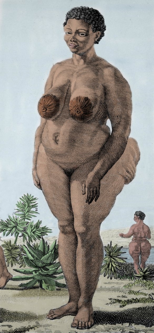 La Venus Hottentote, kvinna av rasen Bochiman; (The Hottentot Venus,) gravyr från 1815. av Unknown artist