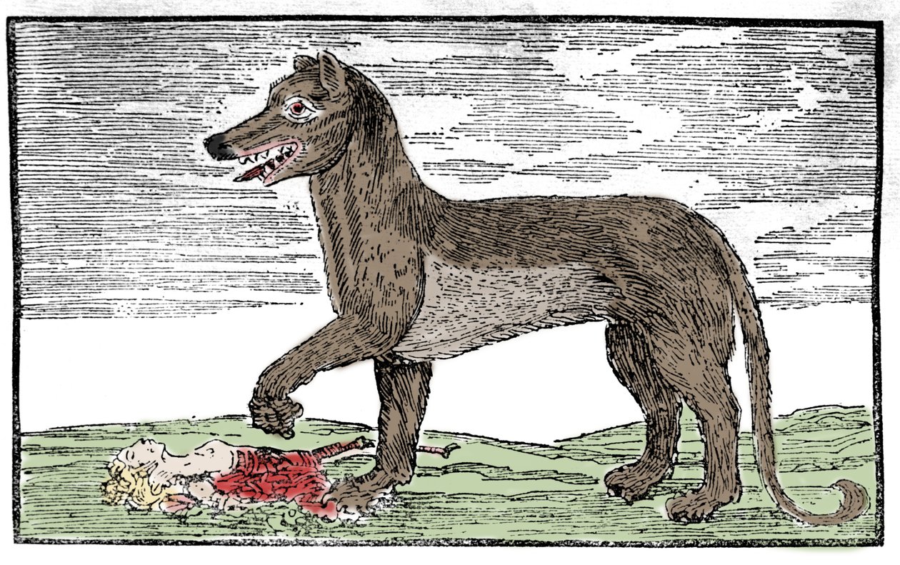 La bete du Gevaudan Gravyr från "Saint Jakobs krönika" av Unknown artist