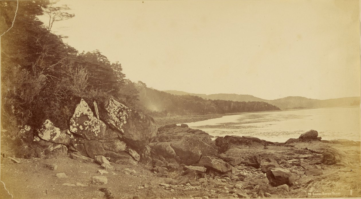 Dawson Island Lagoon. av Unknown artist