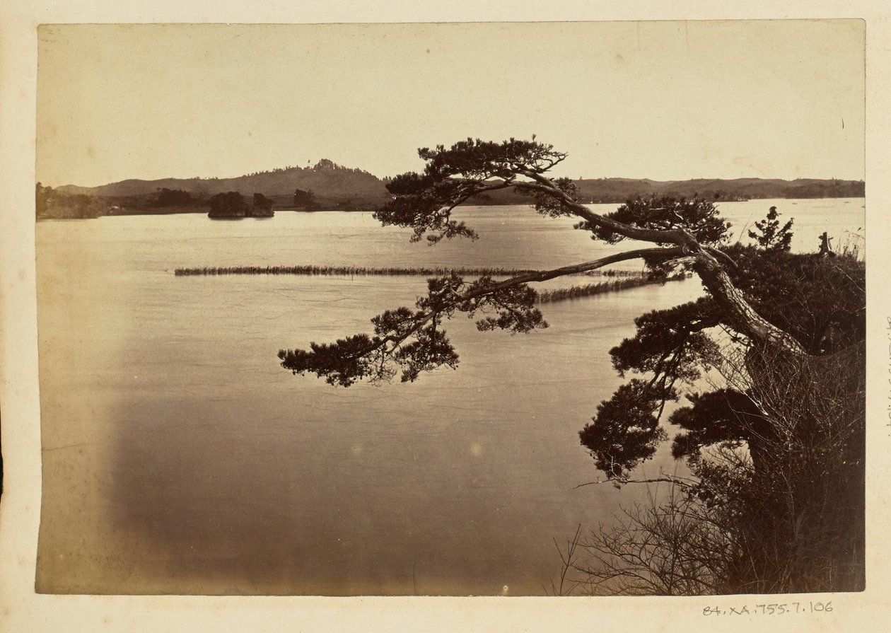 [Landskap med sjö och träd] av Unknown artist