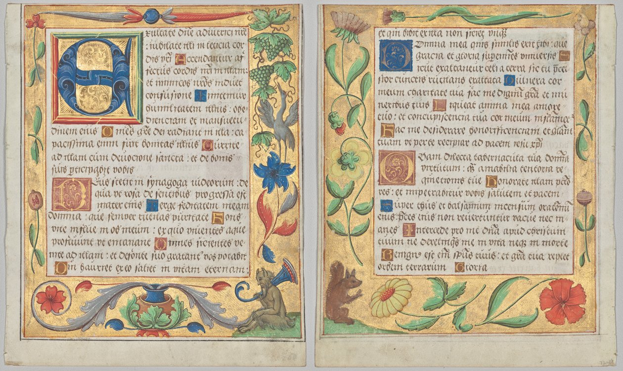 Blad från en psaltare och bönbok: Initial E med prydnadsbård som innehåller en sittande satyr och en fågel som äter vindruvor (recto) och prydnadsbård med blommor och ekorre (verso) (2 av 3 utskurna löv) av Unknown artist