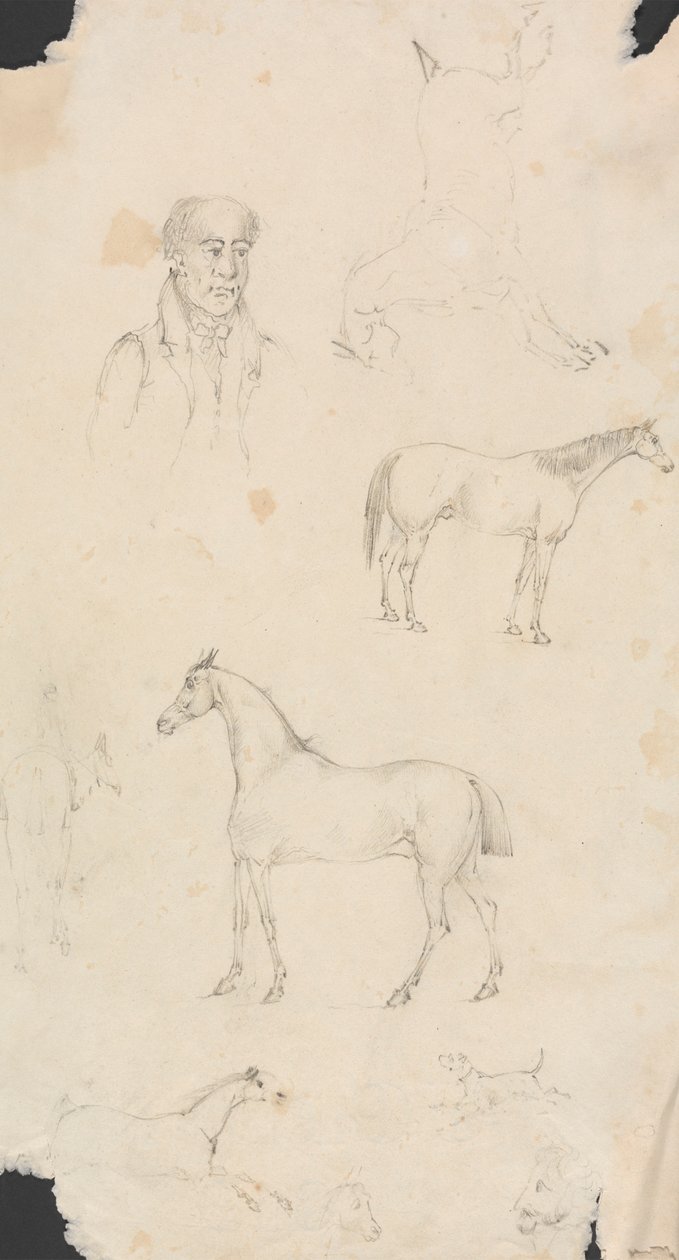 Människor, hästar och hundar av Unknown artist
