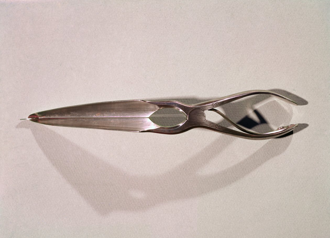 Medicinskt instrument: en dilator av Unknown artist