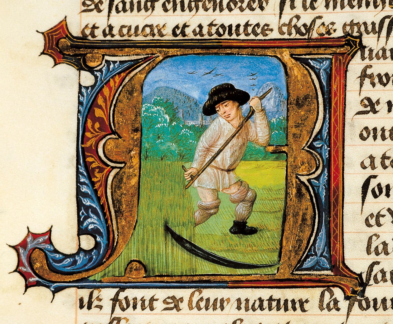 Medicin: en bonde som klipper vetet. Miniatyr hämtad från Treatise on Medicine av Aldebrande de Florence (Aldebrando) av Unknown artist