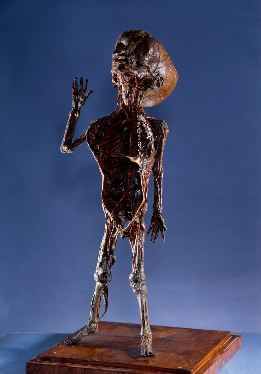 Medicin: skalfigur. 1700-tals privatsamling av Unknown artist