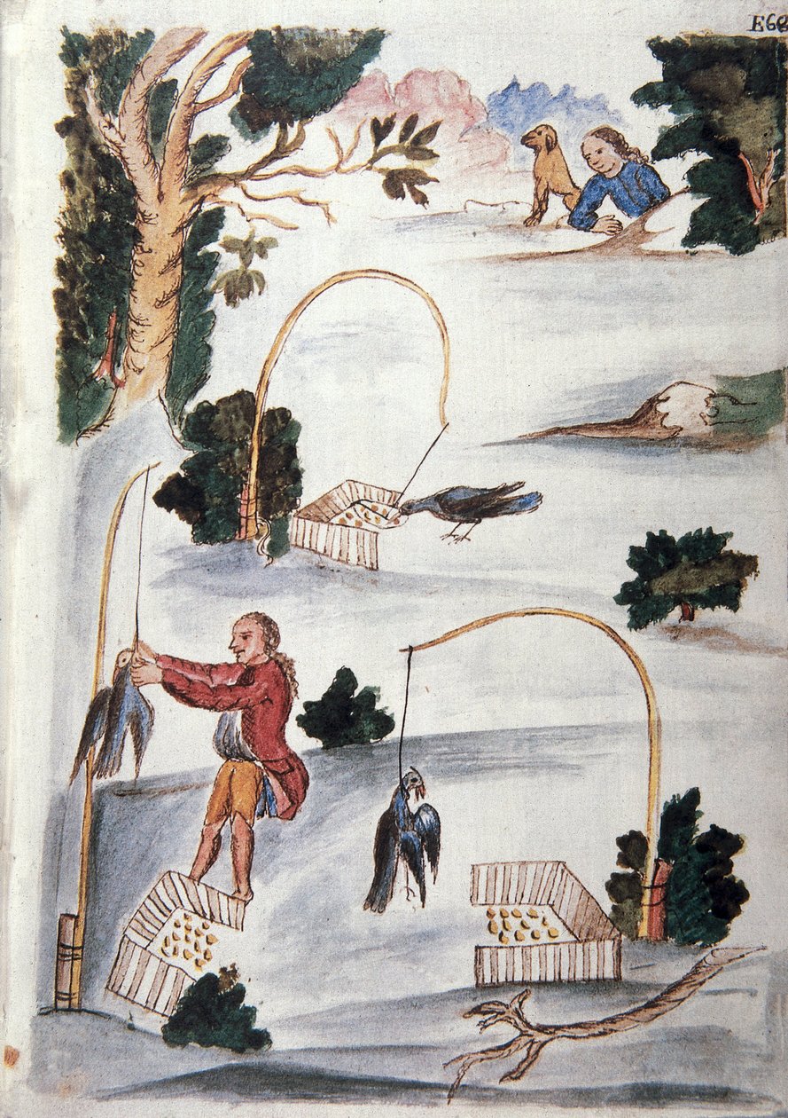 Metod för att fånga fåglar i lasso, från boken "Trujillo del Peru" eller "Códice Martínez Compañón", av Baltazar Martinez Compañón y Bujanda, biskop av Trujillo (1782-1785) av Unknown artist