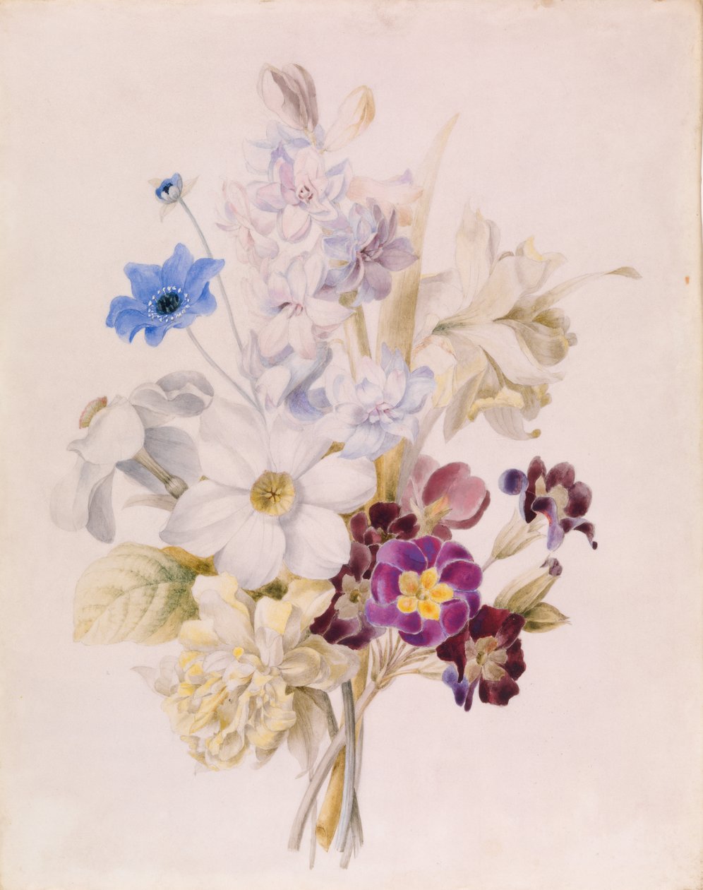 Narcissus och andra blommor av Unknown artist