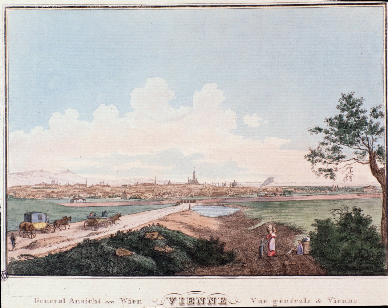 Översikt över staden Wien med bro över Donau. Österrike Gravyr från 1830 privat samling av Unknown artist