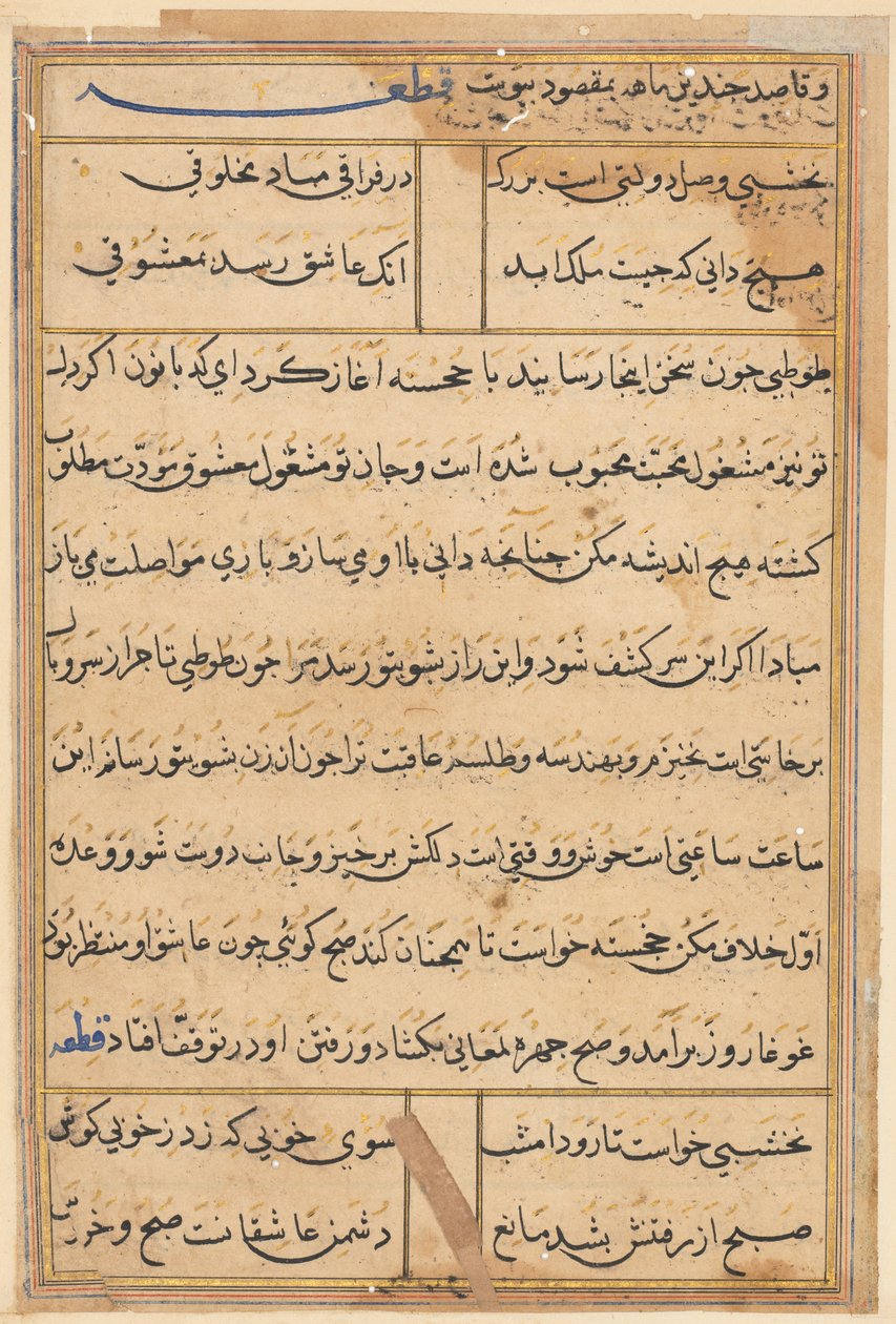 Sida från Tales of a Parrot (Tuti-nama): textsida av Unknown artist