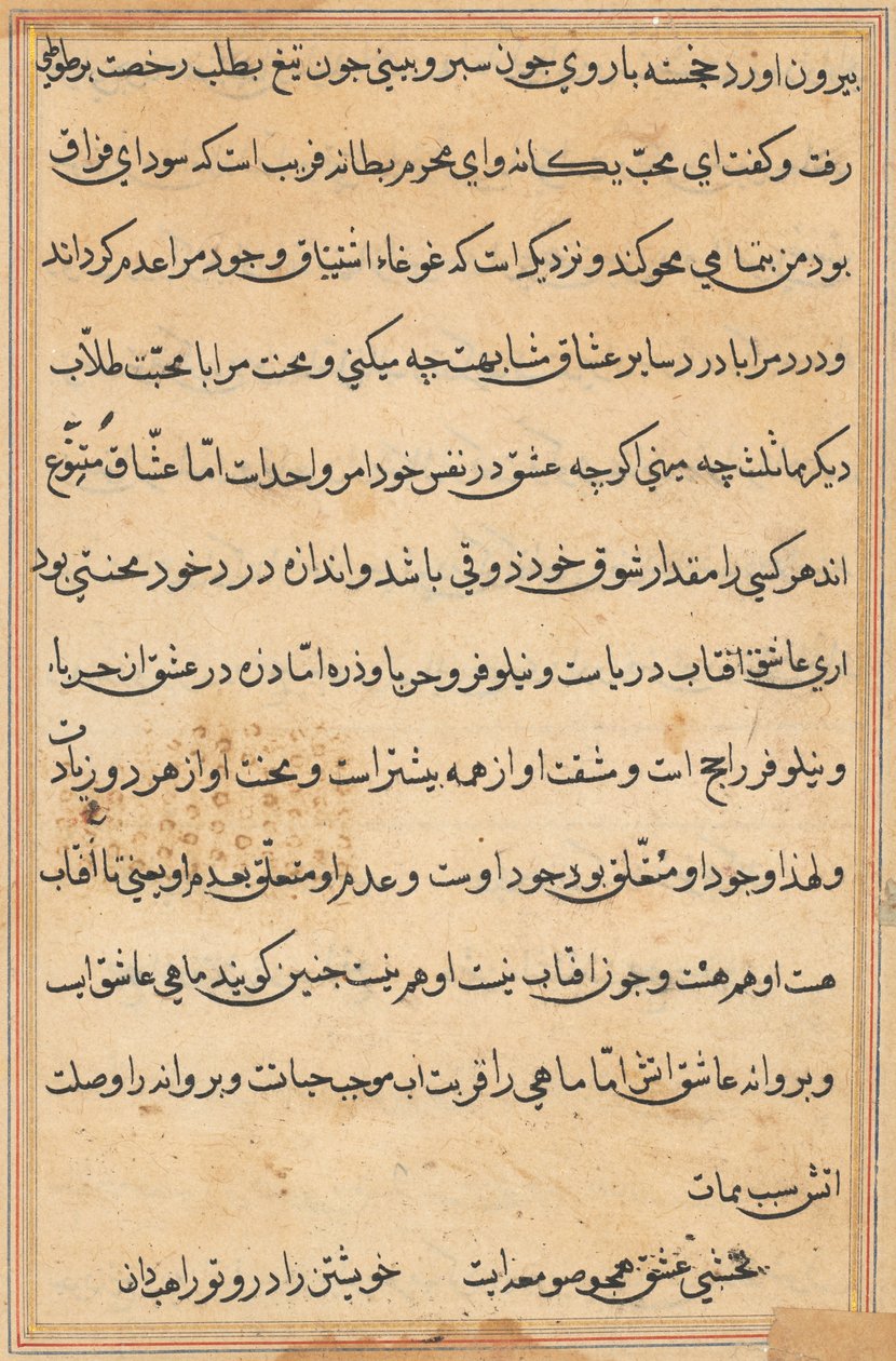 Sida från Tales of a Parrot (Tuti-nama): textsida av Unknown artist