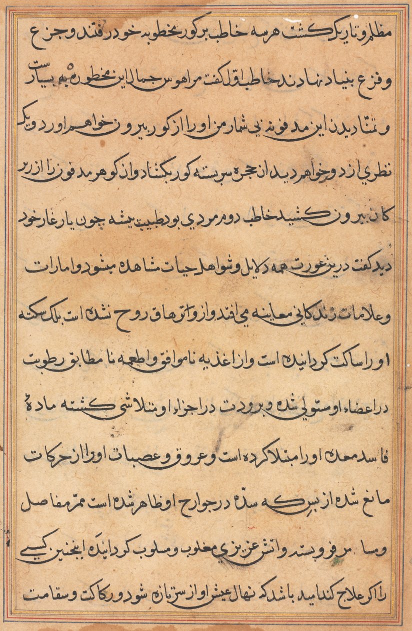 Sida från Tales of a Parrot (Tuti-nama): textsida av Unknown artist