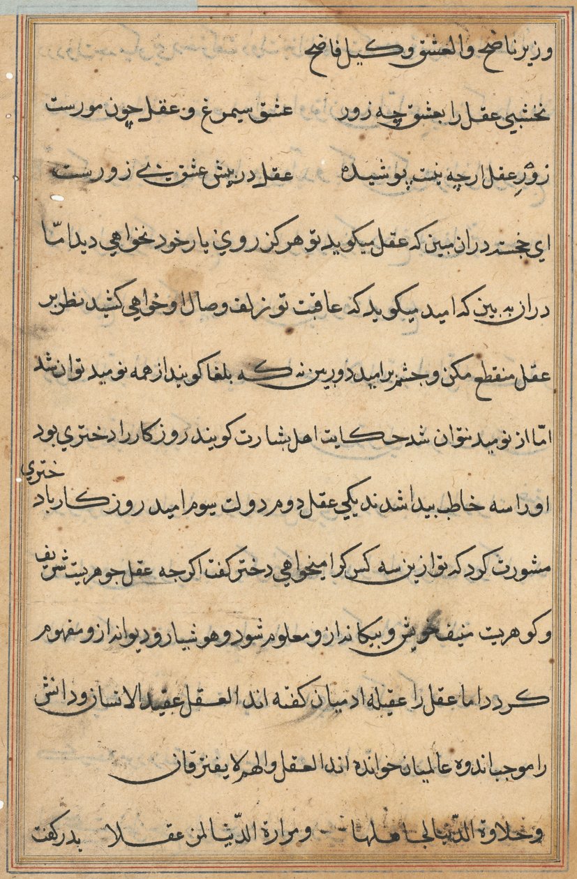 Sida från Tales of a Parrot (Tuti-nama): textsida av Unknown artist