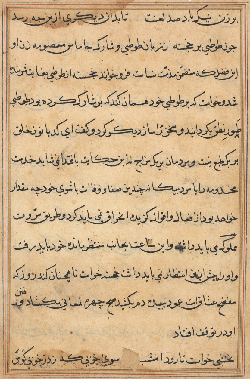 Sida från Tales of a Parrot (Tuti-nama): textsida av Unknown artist