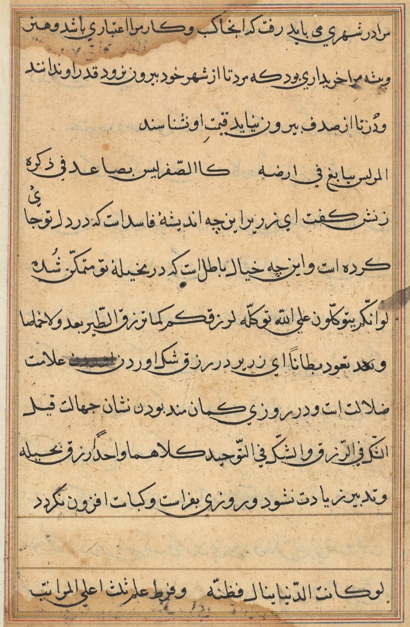 Sida från Tales of a Parrot (Tuti-nama): textsida av Unknown artist