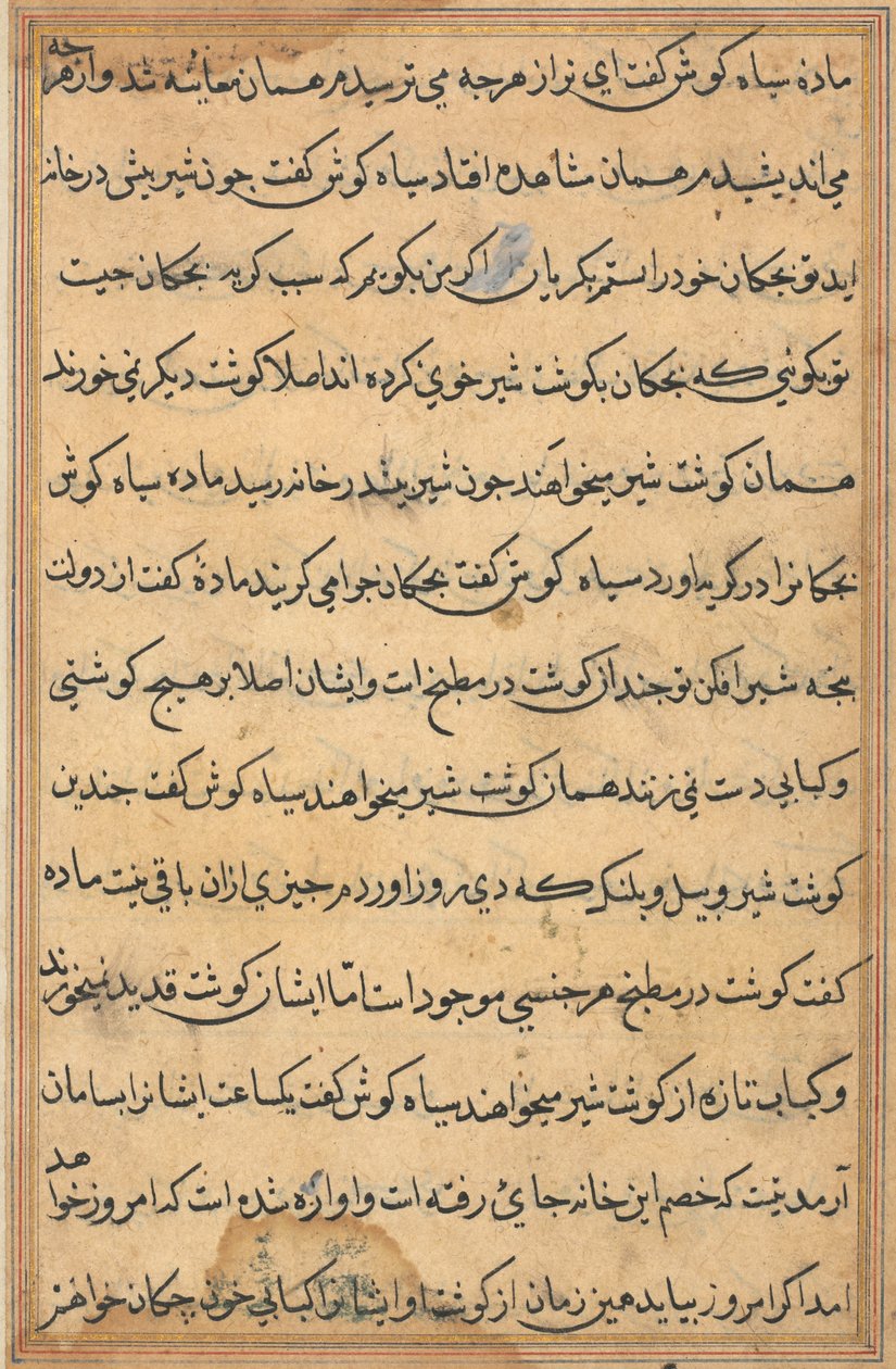 Sida från Tales of a Parrot (Tuti-nama): textsida av Unknown artist