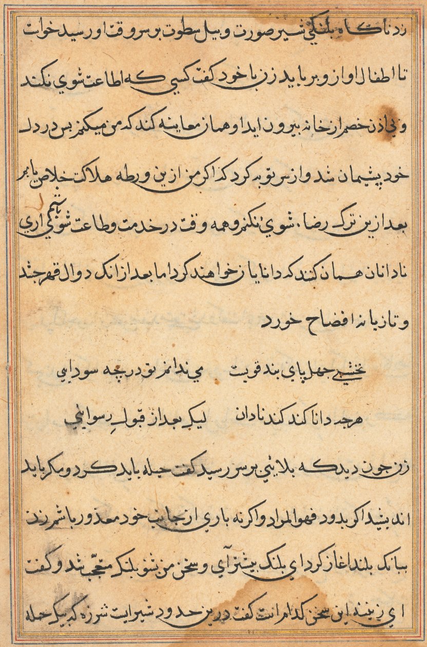 Sida från Tales of a Parrot (Tuti-nama): textsida av Unknown artist