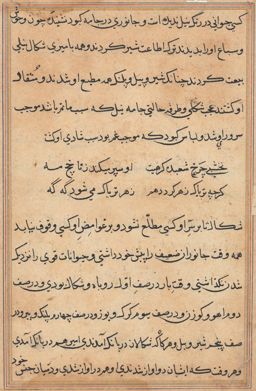 Sida från Tales of a Parrot (Tuti-nama): textsida av Unknown artist