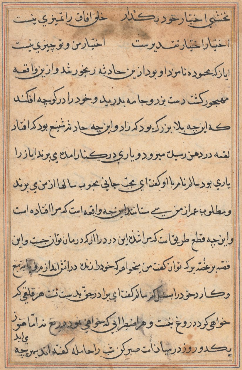 Sida från Tales of a Parrot (Tuti-nama): textsida av Unknown artist