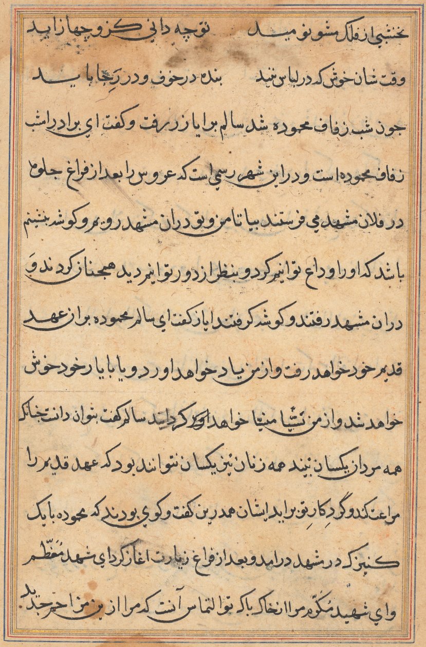 Sida från Tales of a Parrot (Tuti-nama): textsida av Unknown artist