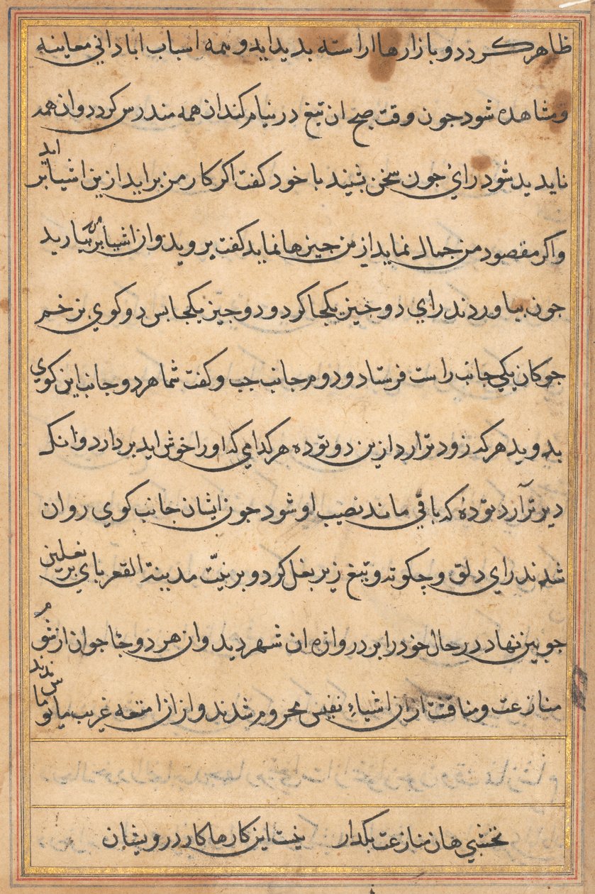 Sida från Tales of a Parrot (Tuti-nama): textsida av Unknown artist