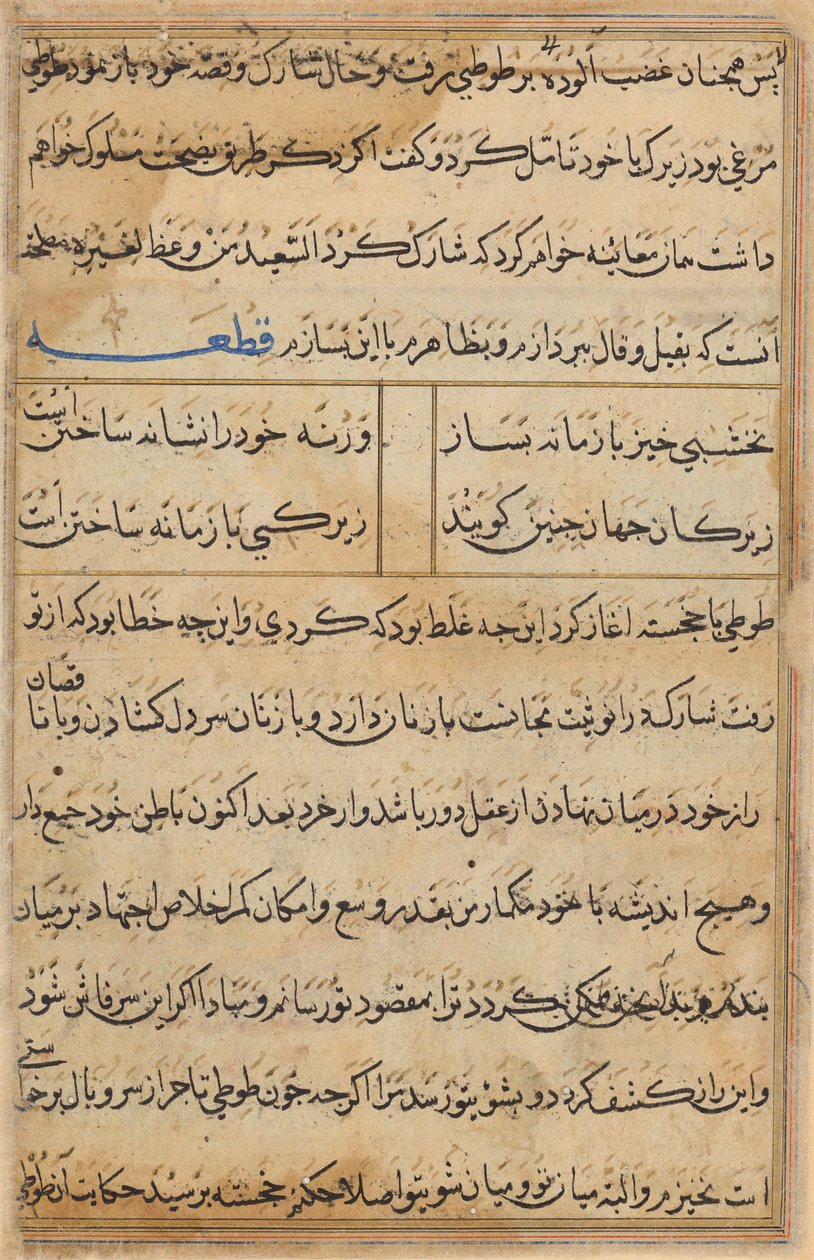 Sida från Tales of a Parrot (Tuti-nama): textsida av Unknown artist