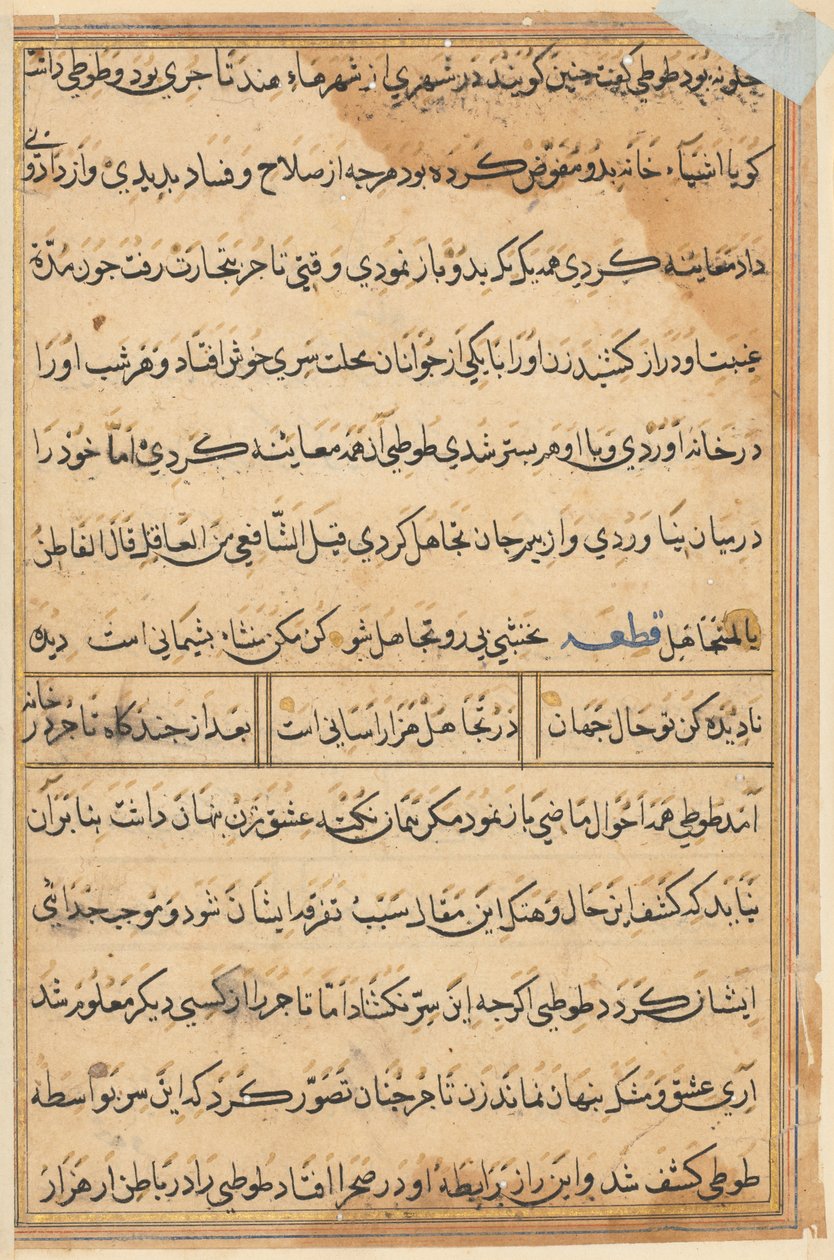 Sida från Tales of a Parrot (Tuti-nama): textsida av Unknown artist