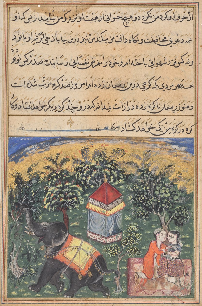Sida från Tales of a Parrot (Tuti-nama): textsida av Unknown artist