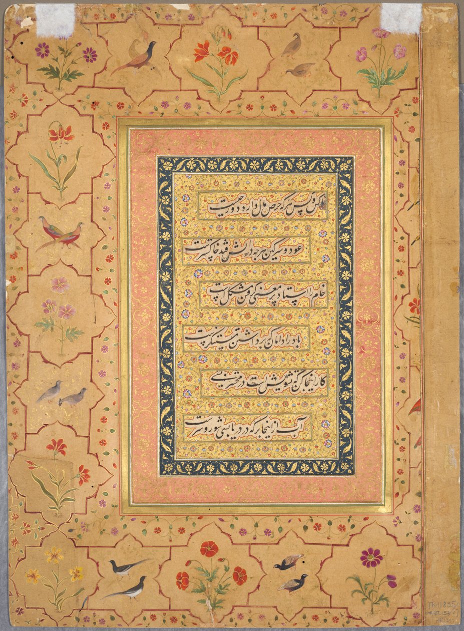 Sida från Late Shah Jahan Album: Calligraphy Framed by an Ornamental Border with Poppies and Pairs of Birds (verso) av Unknown artist